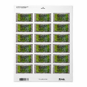 Plantaardige zaailingen etiket (Full Sheet)