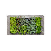 Plantaardige zaailingen etiket (Voorkant)