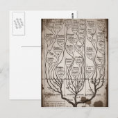 Plantae Protista Animalia Briefkaart (Voorkant / Achterkant)