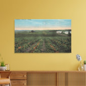 Plantatie van ananas klaar voor oogst in Florid Canvas Afdruk (Insitu (Woonkamer))