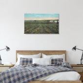 Plantatie van ananas klaar voor oogst in Florid Canvas Afdruk (Insitu (Slaapkamer))