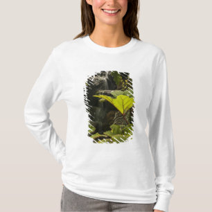 Plantdetail in een botanische tuin, Ecuador T-shirt