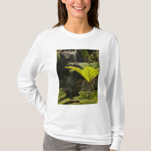 Plantdetail in een botanische tuin, Ecuador T-shirt