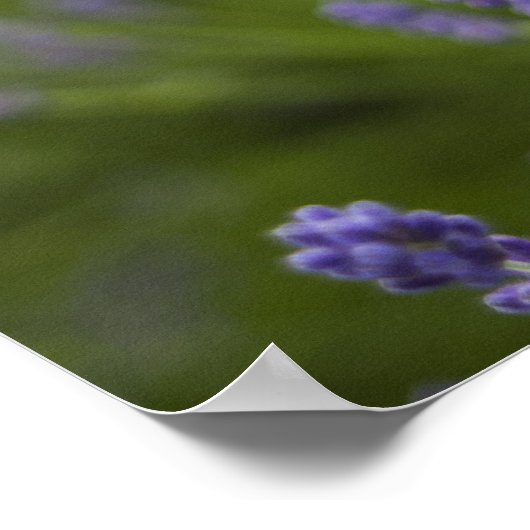 PLANTEN 2 POSTER (Hoek)