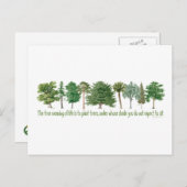 Planten bomen - boomgaard, heegger briefkaart (Voorkant / Achterkant)