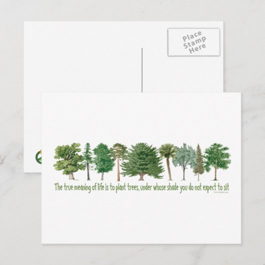 Planten bomen - boomgaard, heegger briefkaart (Voorkant / Achterkant)