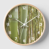 Planten botanisch (Voorkant)