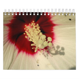 Planten Botanische fotokalender Kalender