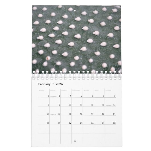 Planten Botanische fotokalender Kalender (Feb 2026)