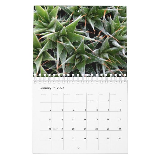 Planten Botanische fotokalender Kalender (Jan 2026)