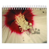 Planten Botanische fotokalender Kalender (Hoes)