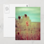  planten briefkaart (Voorkant / Achterkant)