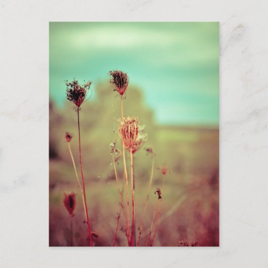  planten briefkaart (Voorkant)