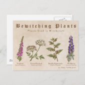Planten Briefkaart omslaan (Voorkant / Achterkant)