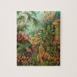  Planten Decoratieve Natuur Illustratie Legpuzzel