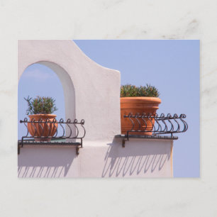 Planten die rondhangen in Positano Italië ansichtk Briefkaart