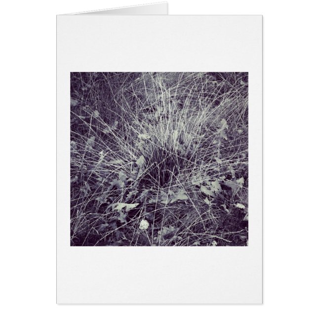 Planten en gras (Voorkant)