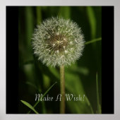 Planten en waterbeelden poster (Voorkant)