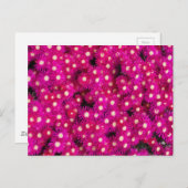 planten ijsbloemen briefkaart (Voorkant / Achterkant)