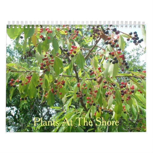 Planten in de Shore-kalender Kalender (Hoes)