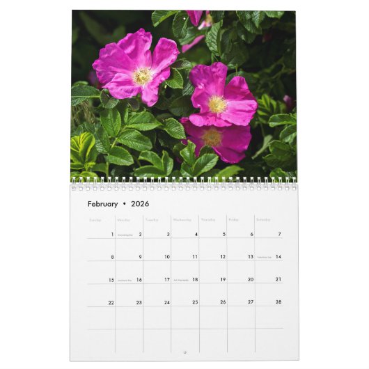 Planten in de Shore-kalender Kalender (Feb 2026)