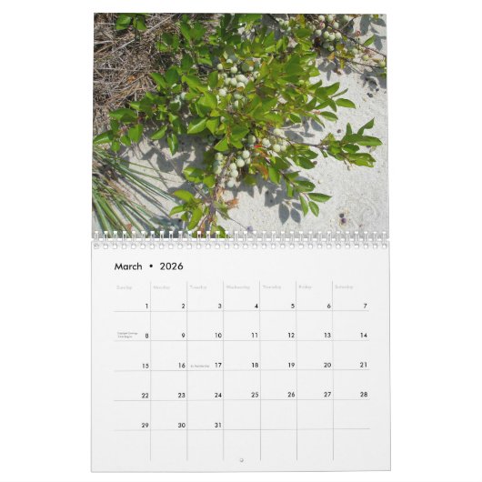 Planten in de Shore-kalender Kalender (Mar 2026)