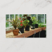 Planten in Greenhouse Visitekaartje (Achterkant)