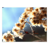 Planten in het veld in het zonlicht foto afdruk (Voorkant)