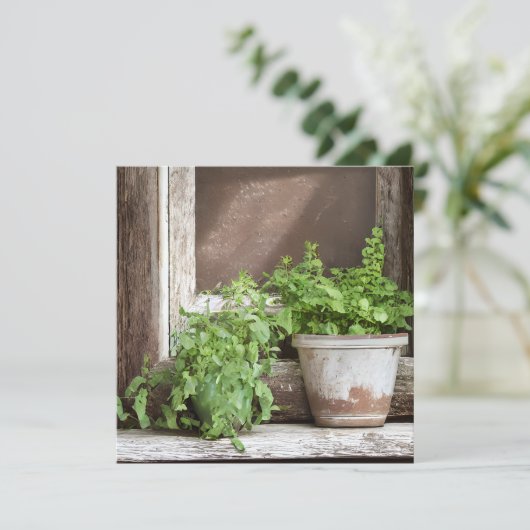  Planten in Rustiek Venster (Staand voorkant)