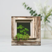  Planten in rustiek venster met verweerd hout (Staand voorkant)