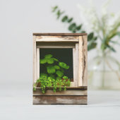 Planten in rustiek venster met verweerd hout Briefkaart (Staand voorkant)