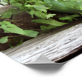  Planten in Rustiek Venster Poster (Hoek)