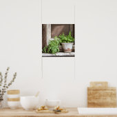  Planten in Rustiek Venster Poster (Keuken)