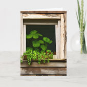  Planten in Rustiek Venster Verjaardag Kaart (Voorkant)