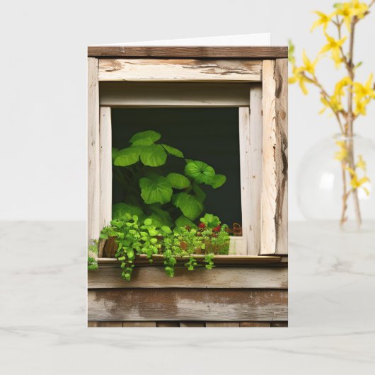  Planten in Rustiek Venster Verjaardag Kaart (Gele Bloem)