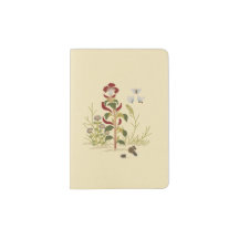 Planten & Insecten _Cockscomb