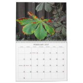 Planten Kalender (Feb 2027)