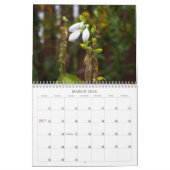 Planten Kalender (Mar 2026)