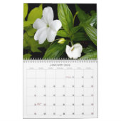 Planten Kalender (Jan 2026)
