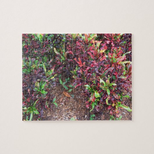 Planten Legpuzzel (Horizontaal)