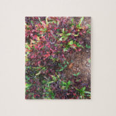 Planten Legpuzzel (Verticaal)