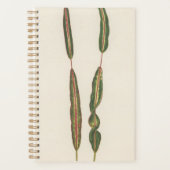 Planten mama papa romantische tuinman cadeau 2022  planner (Voorkant)