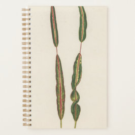 Planten mama papa romantische tuinman cadeau 2022  planner