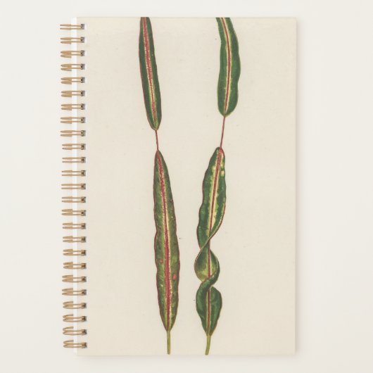 Planten mama papa romantische tuinman cadeau 2022 planner (Voorkant)