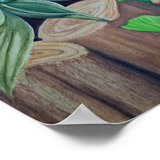 Planten Pond Party Poster (Hoek)