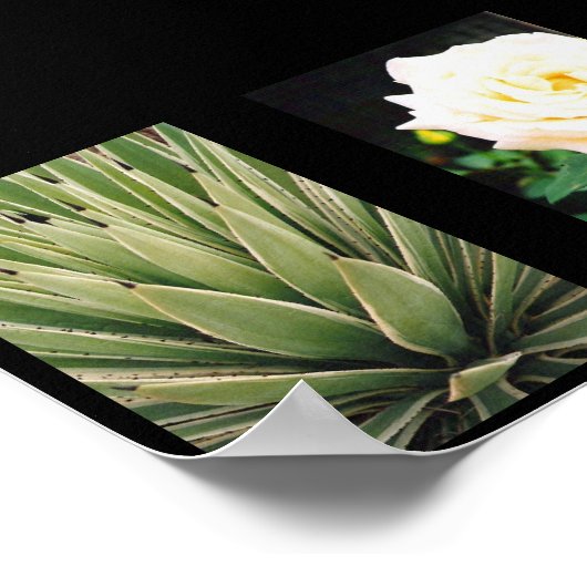 Planten Poster (Hoek)