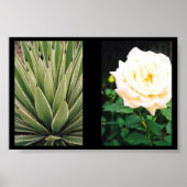 Planten Poster (Voorkant)