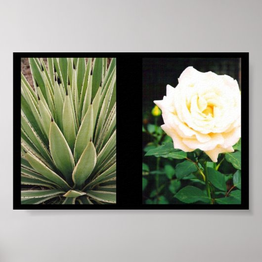 Planten Poster (Voorkant)