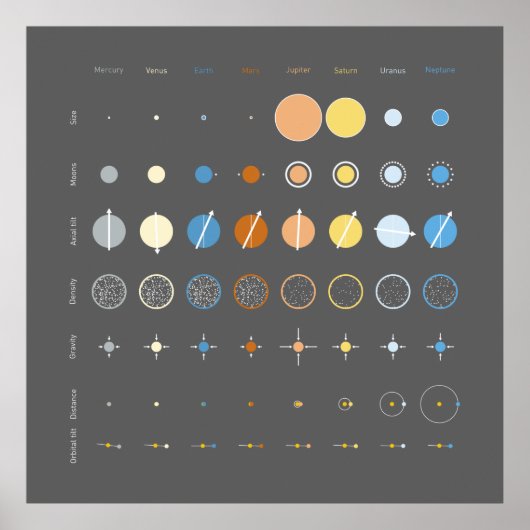 Planten Poster (Voorkant)