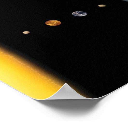 Planten Poster (Hoek)